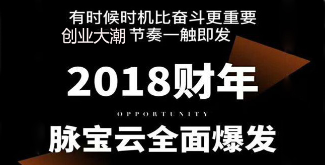 2018财年新零售脉宝云店640 -330.jpg